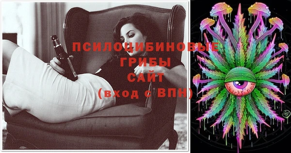 винт Медвежьегорск